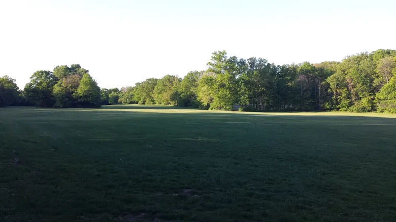 pic35.jpg