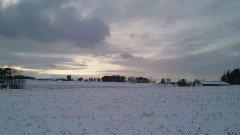 pic4.jpg.webp