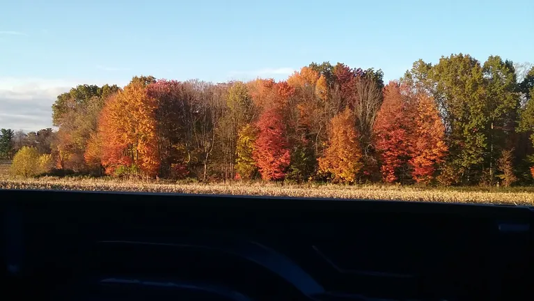 pic52.jpg
