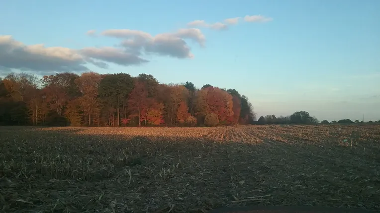 pic53.jpg